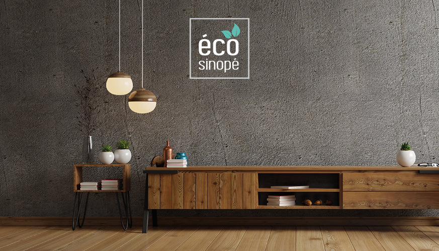 Sinopé Technologies dévoile une alternative à Hilo d’Hydro-Québec avec Éco Sinopé