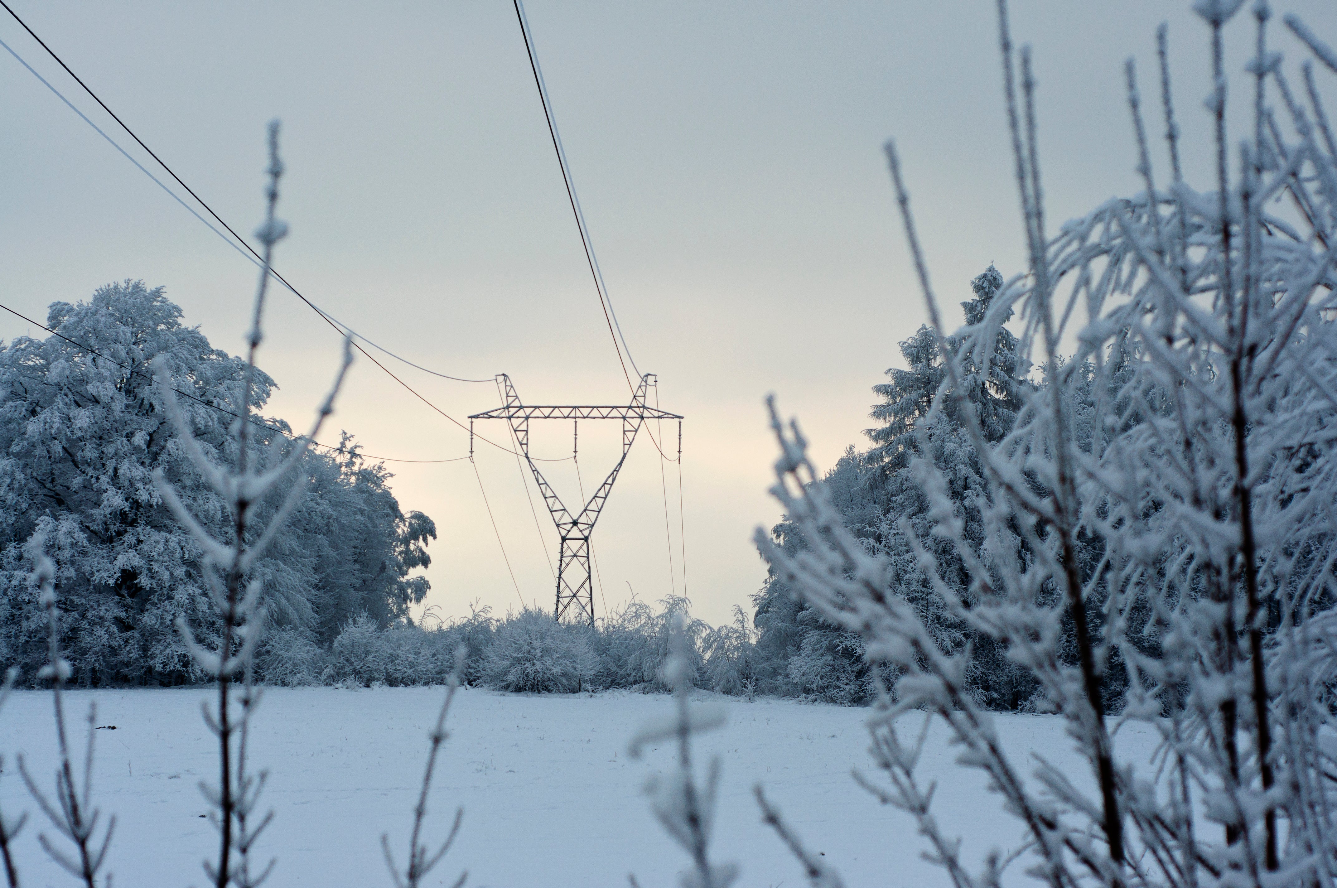 3 raisons de participer au programme Peak Saver