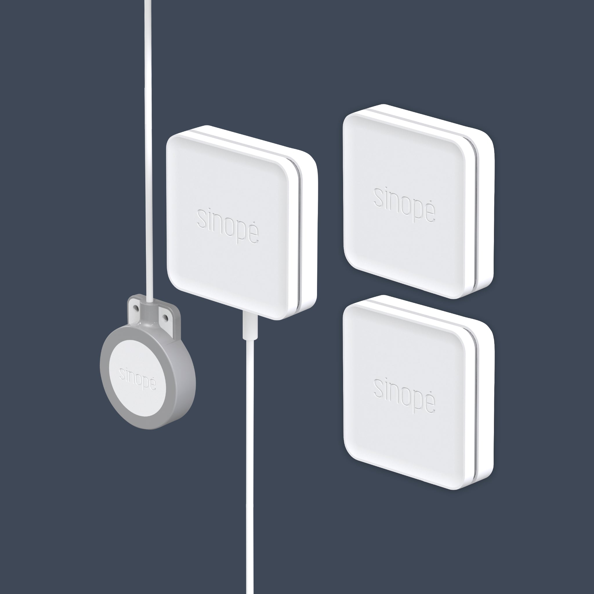 Ensemble de détecteurs d'eau intelligents Zigbee